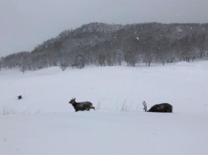 热血暖人间——记第八届金昌市道德模范刘垭墩